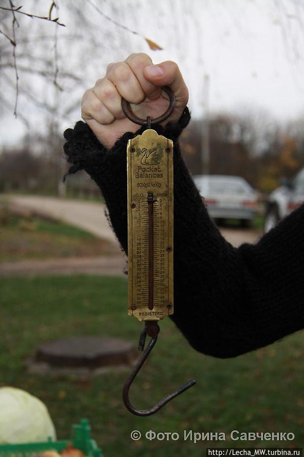 А ведь работает!