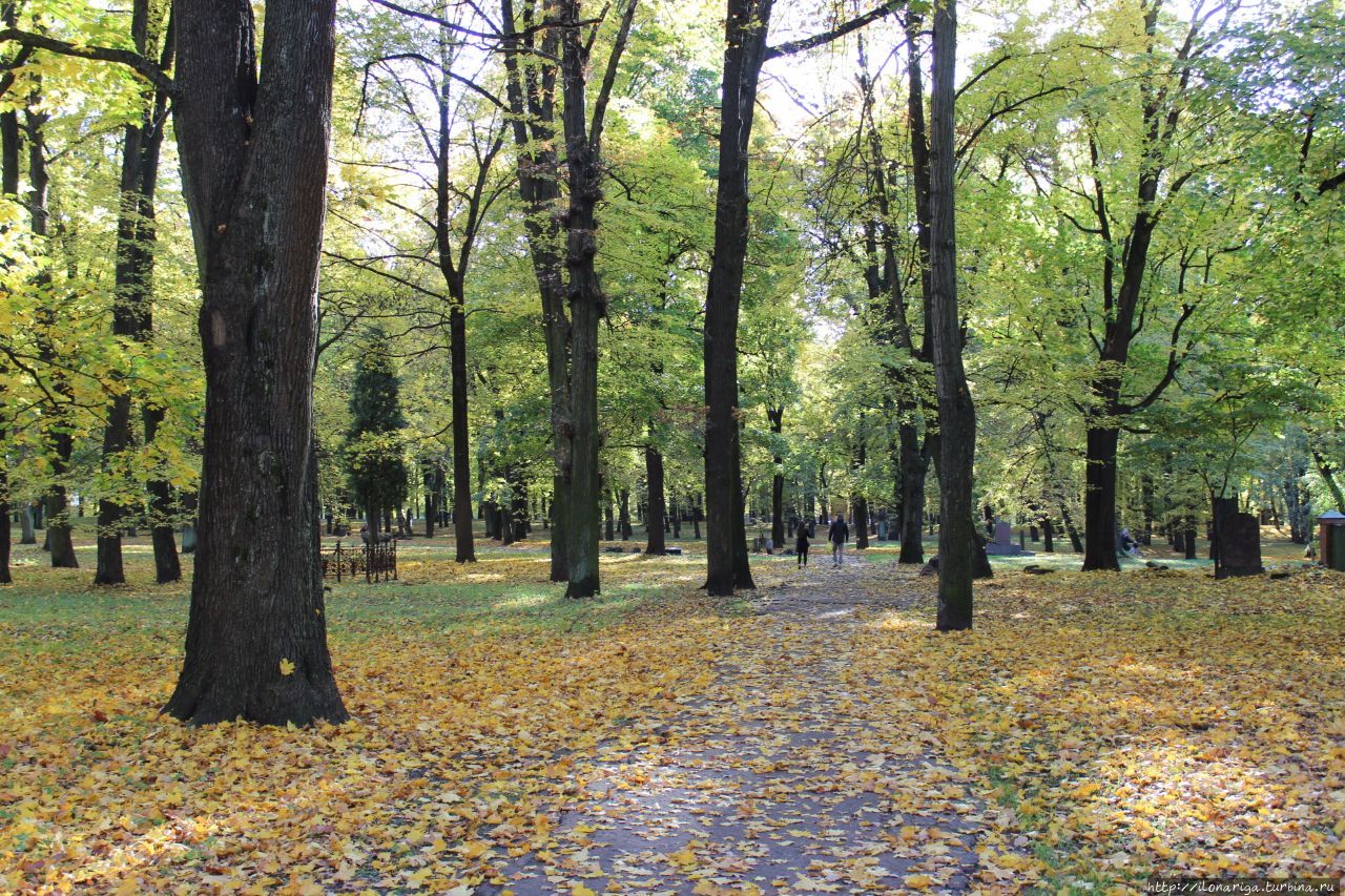 Осенняя сказка Рига, Латвия