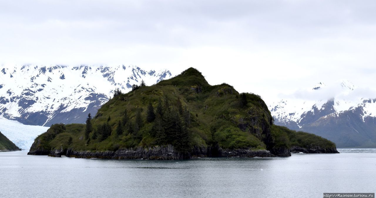 Морское золото Аляски Национальный парк Кенай-Фьордс, CША