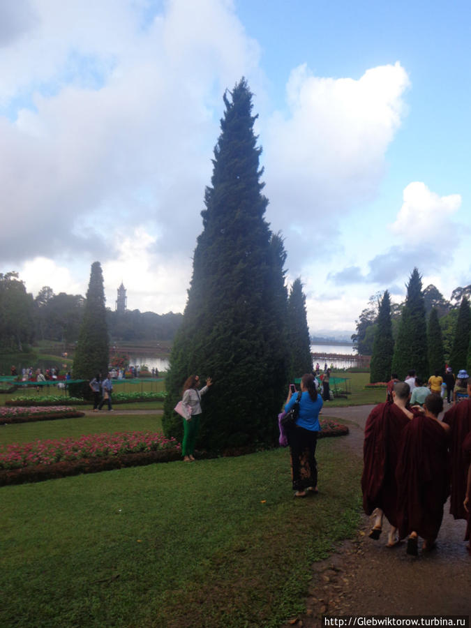 Осмотр ботанического сада: начало Пьин-У-Львин, Мьянма