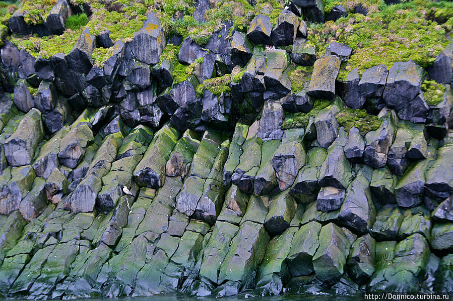 Скала Рубини: Геологическое чудо света Земля Франца-Иосифа архипелаг, Россия