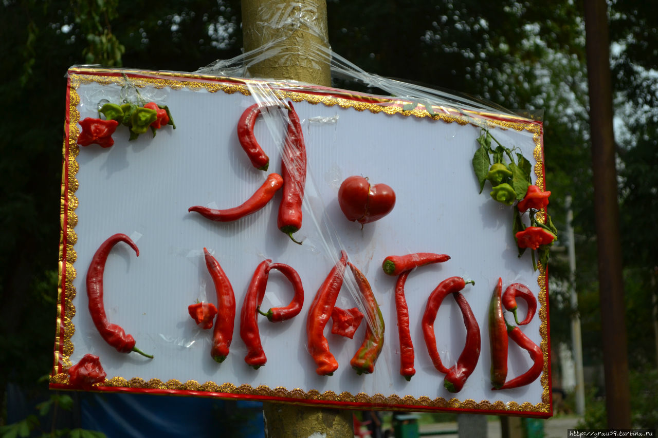 Осенняя рапсодия Саратов, Россия