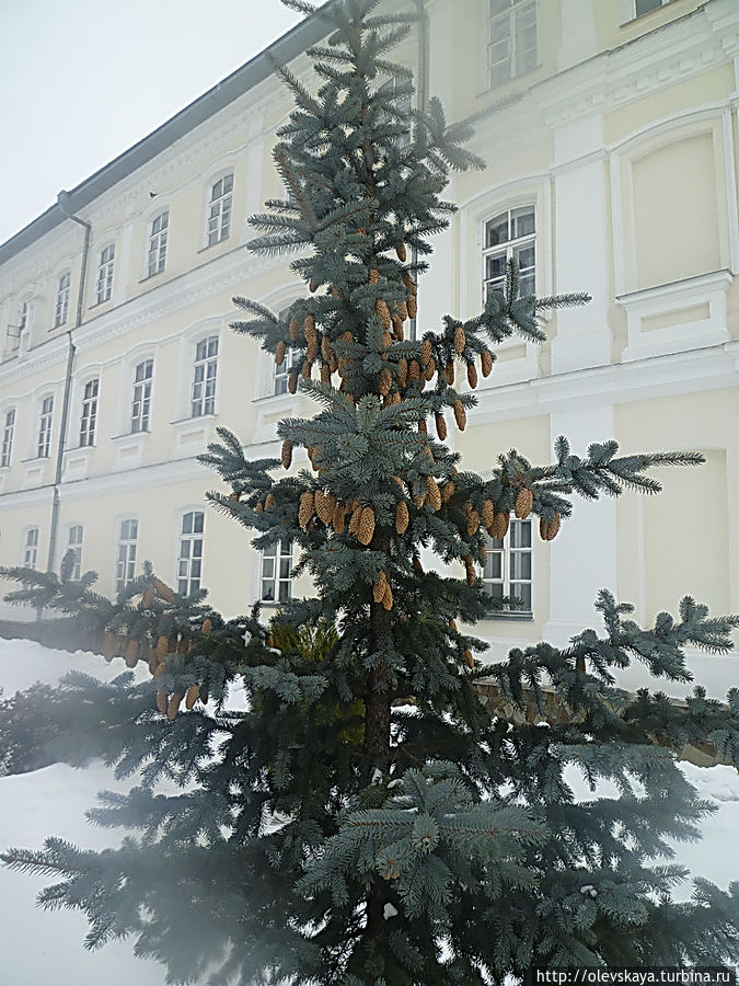 Почаевская Успенская Лавра Почаев, Украина