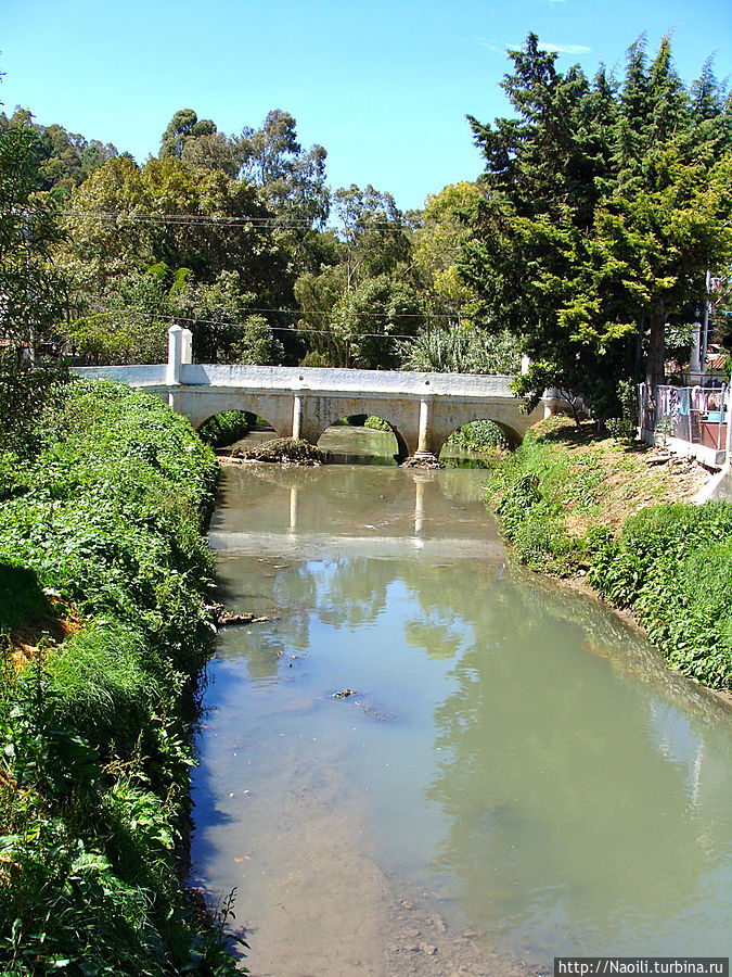 В городе есть река и несколько каналов.