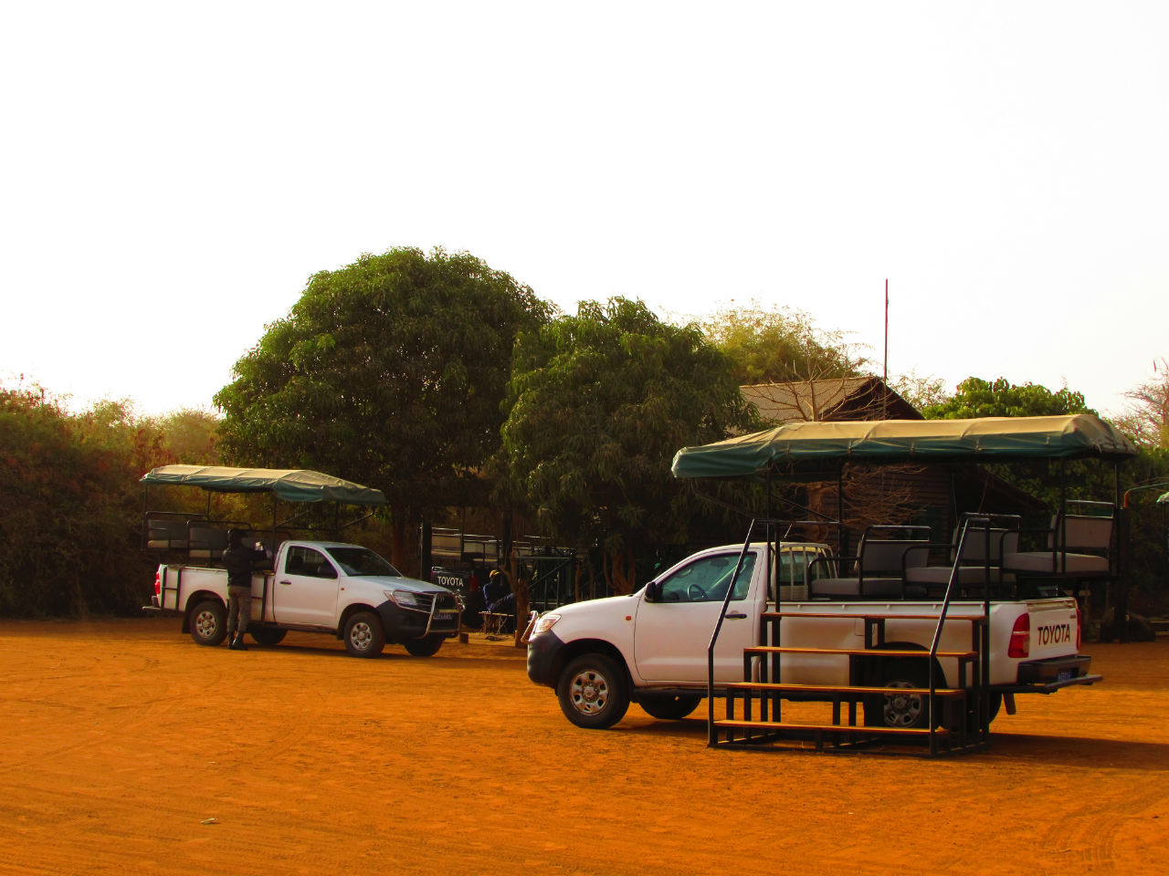 Наше  сафари в Африке. Бандия Мбур, Сенегал