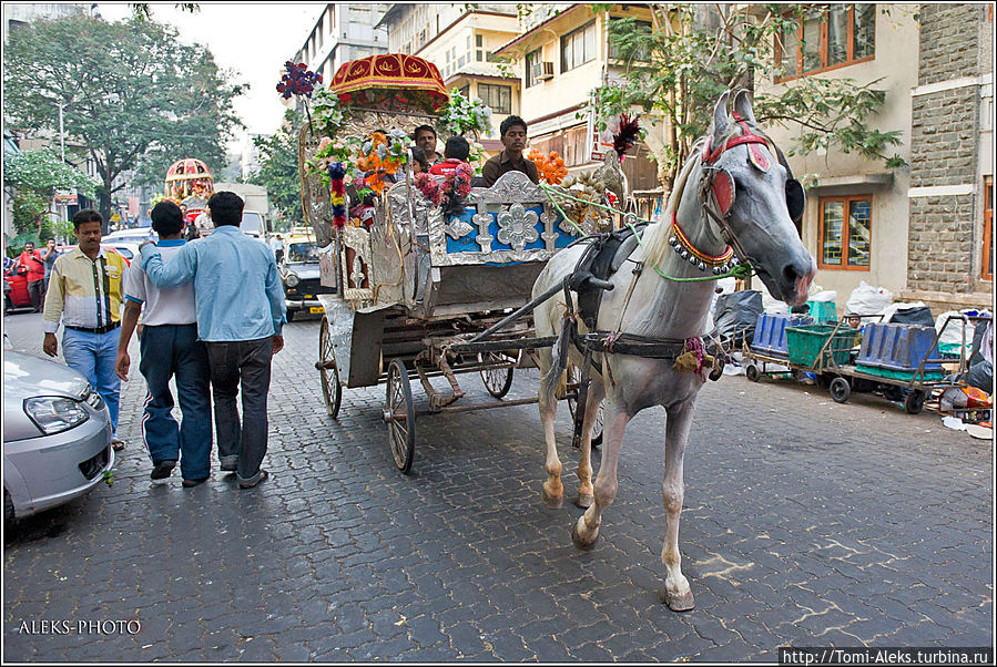 Карета подана...
* Мумбаи, Индия