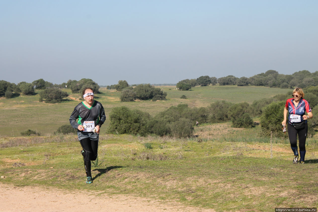 Севилья — City Race Euro Tour Севилья, Испания