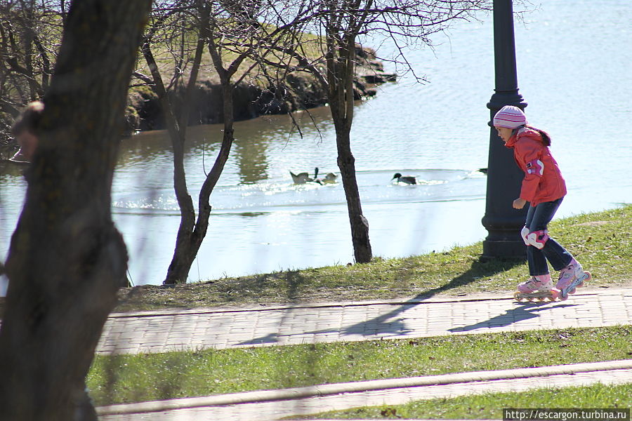 Весна идет, весне дорогу: что делать в Лошицком парке? Минск, Беларусь