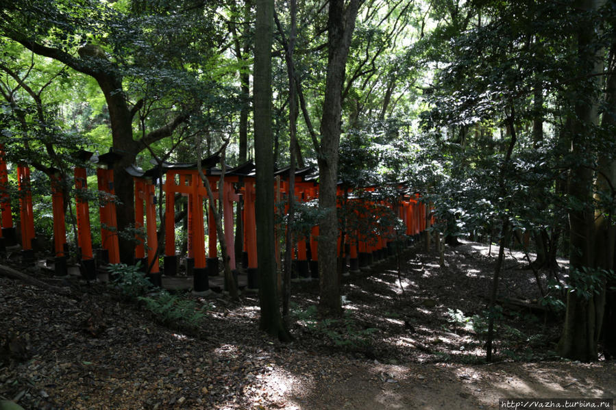 Храм Фушими Инари Тайша. Вторая часть Киото, Япония
