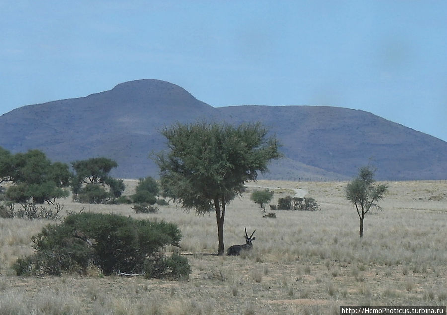 Тропик Козерога: слоеные горы и хамелеон как он есть Заповедник Намибрэнд, Намибия