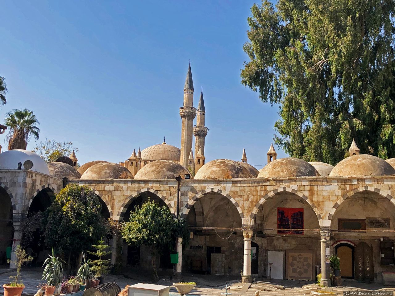 Медресе Аль-Салимия Дамаск, Сирия