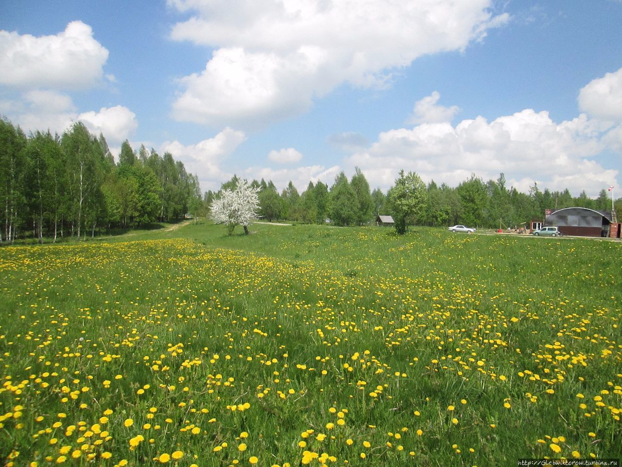 Центральная беларусь