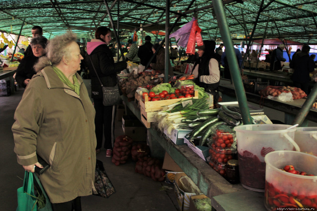 Суботица. Город велосипедистов Суботица, Сербия