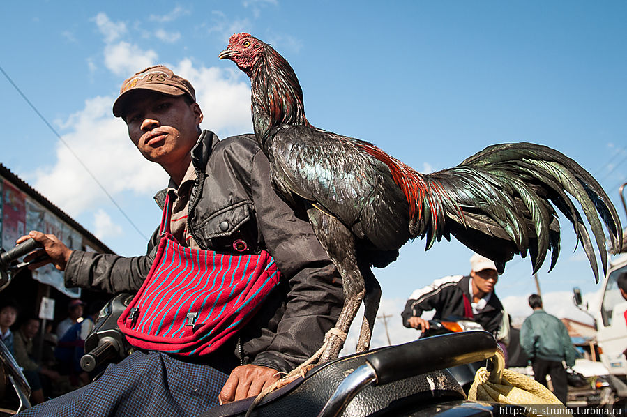Рынок на воде Озеро Инле, Мьянма