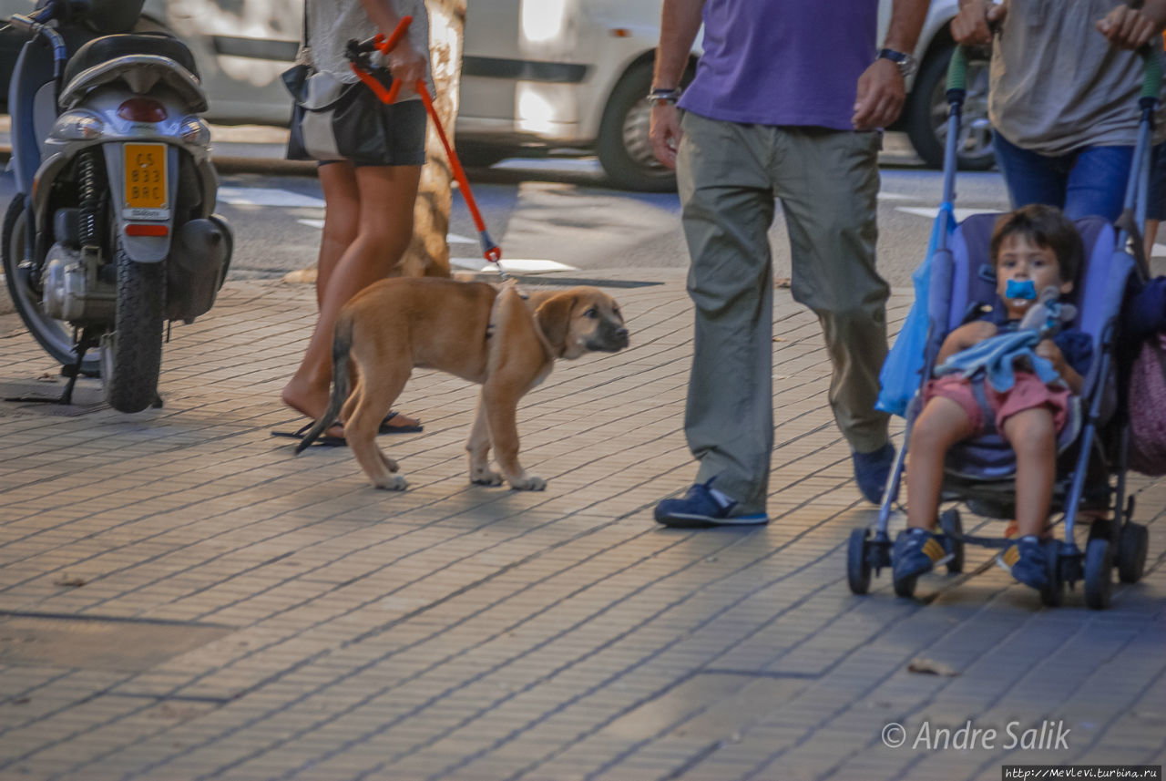 Над Барселоной Барселона, Испания