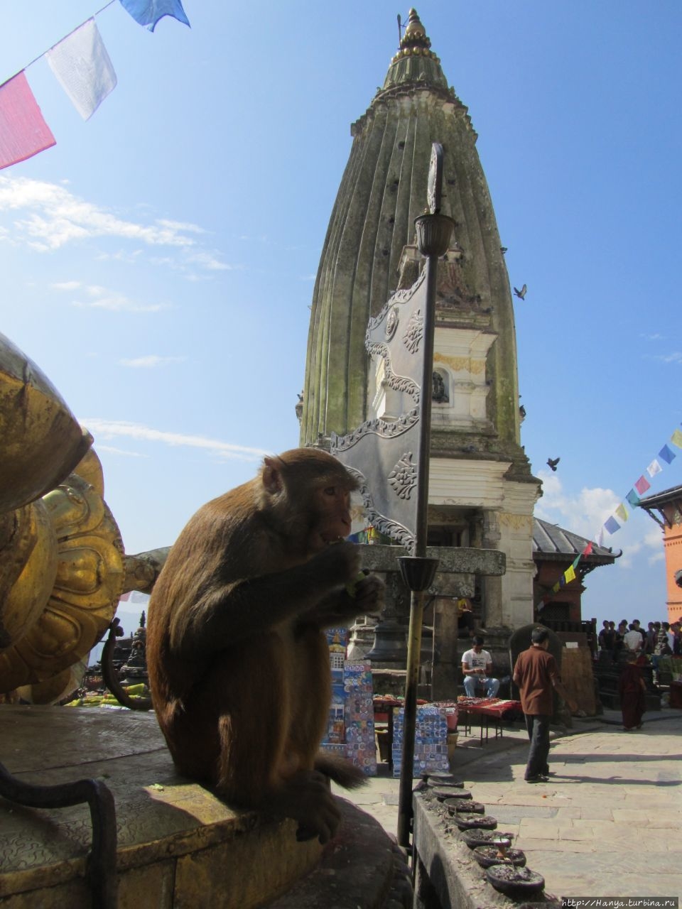 Сваямбху Ступа Катманду, Непал