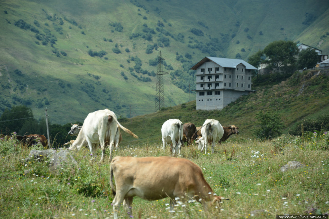 Гудаури летом — просто горы! Гудаури, Грузия