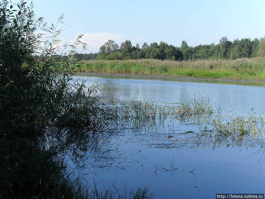 Сосновый Бор — знакомство с городом Сосновый Бор, Россия