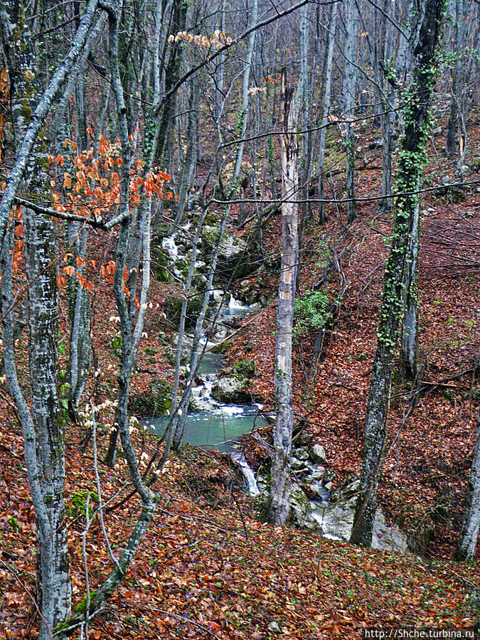 журчат ручьи, летом они пересыхают