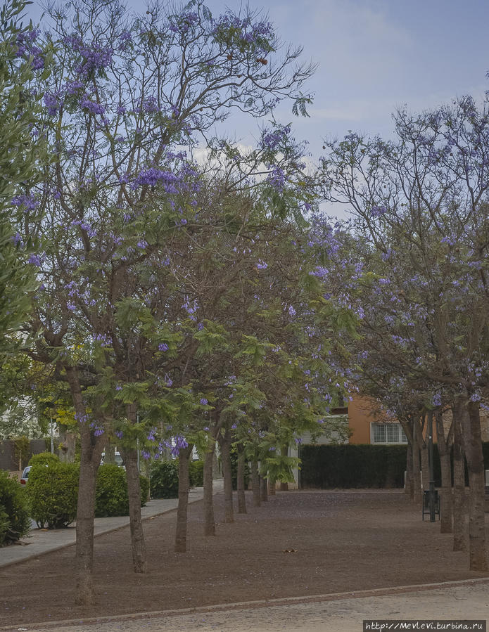 У церкви Ситжес, Испания