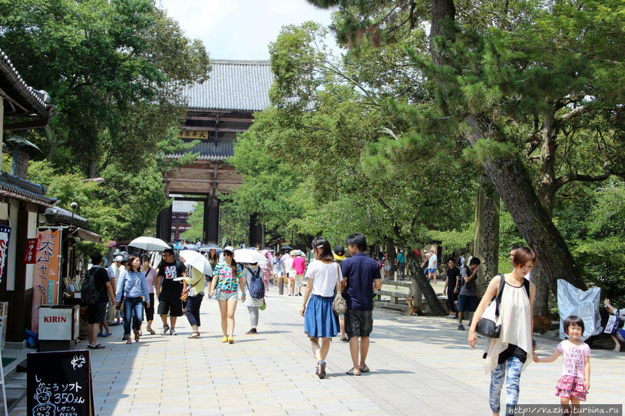 Путь к Храму Тодай-Дзи Нара, Япония