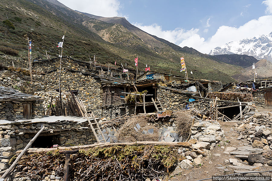 Самдо Непал