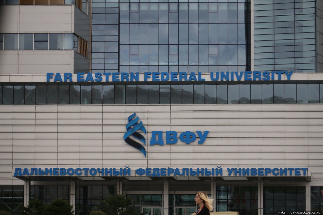 Дальневосточный федеральный университет (ДВФУ) Владивосток, Россия