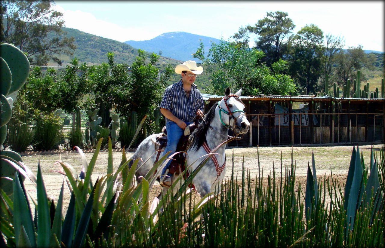 Большое путешествие по Мексике ч.4 — Оахака и Монте-Альбан Оахака, Мексика