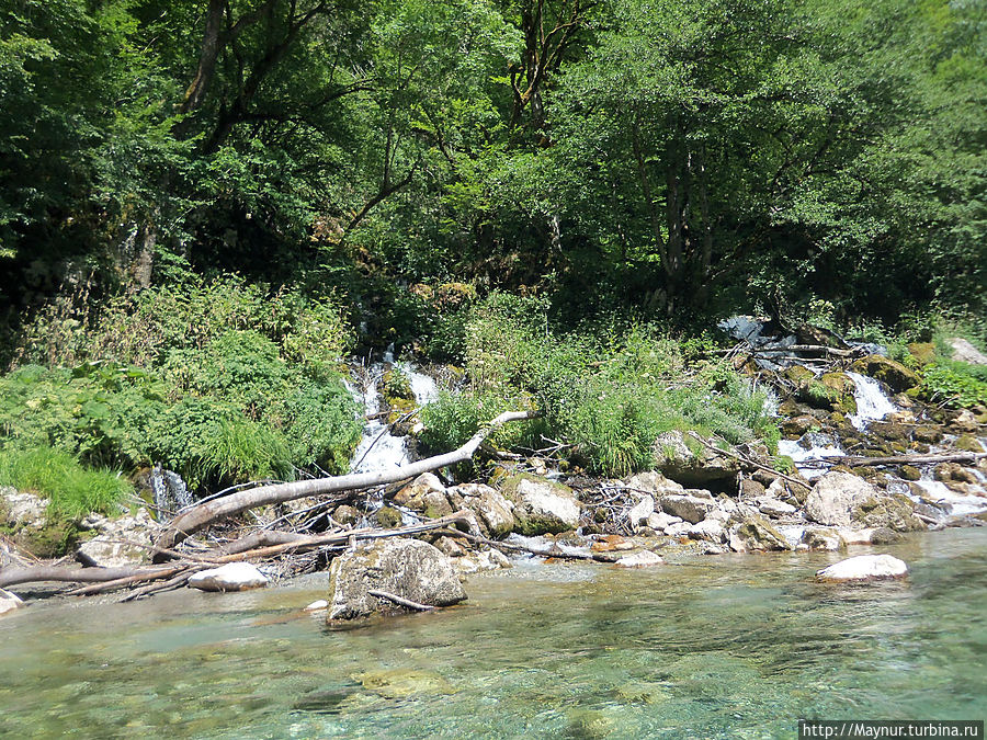 Спуск по реке Тара. Жабляк, Черногория