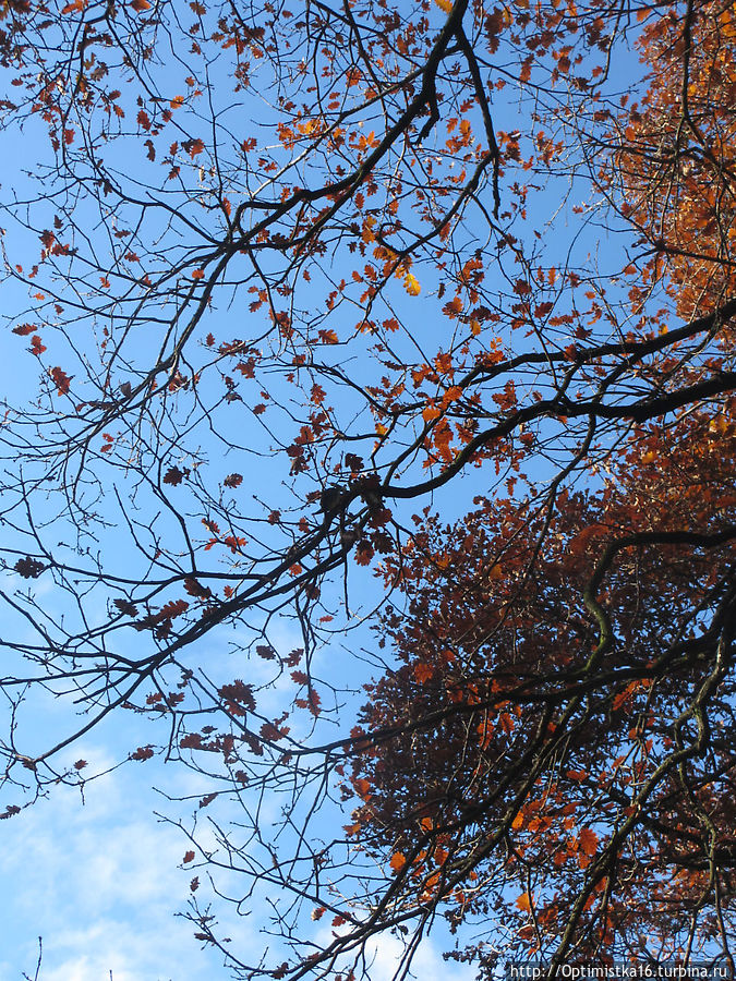Прага в ноябре. Наша первая прогулка в парке рядом с домом Прага, Чехия