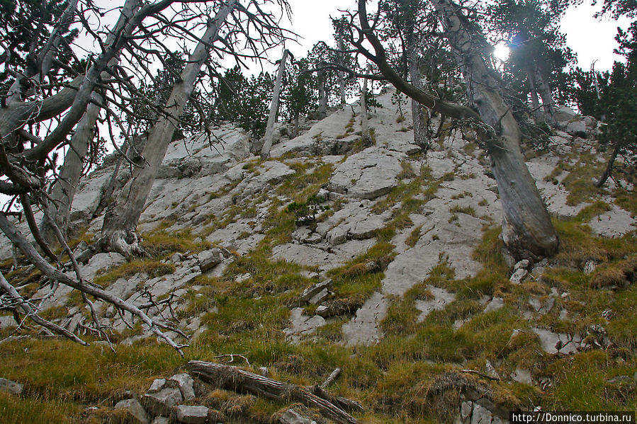 Вверх по каменной вилке 2 — Обманчивая вертикаль Сальдес, Испания
