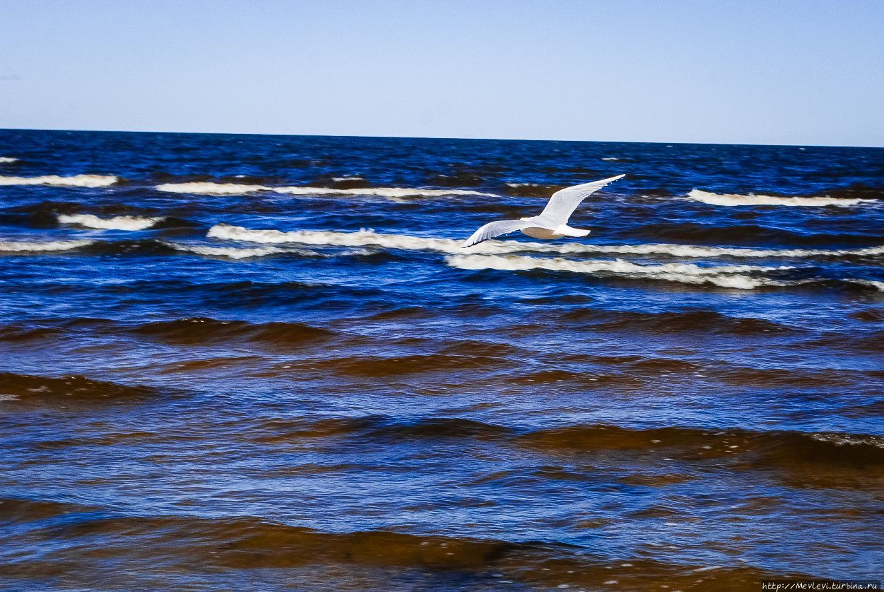 Апрель. Юрмала. Рижский залив Юрмала, Латвия