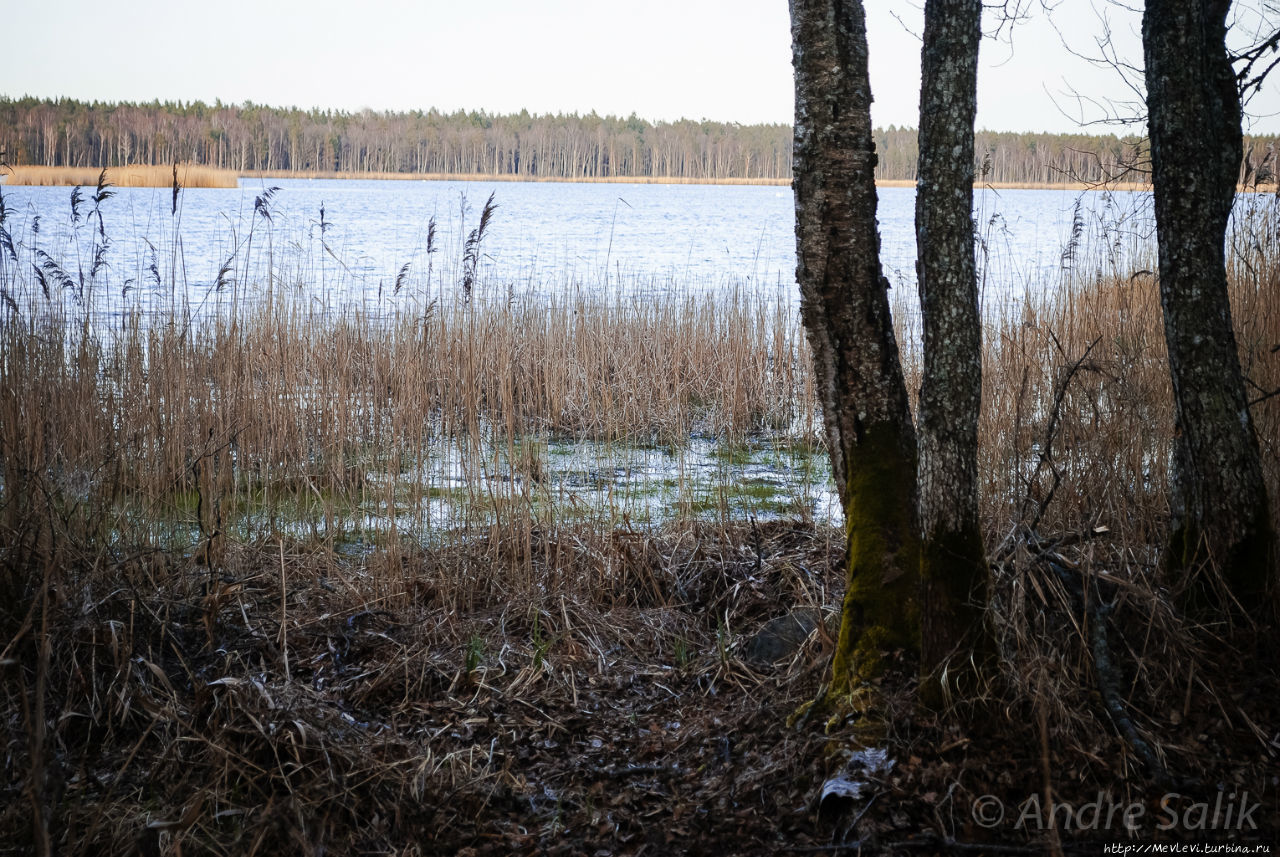 Озеро Слокас Кемери, Латвия