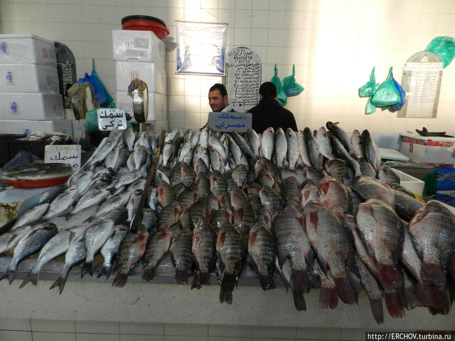Рыбный рынок