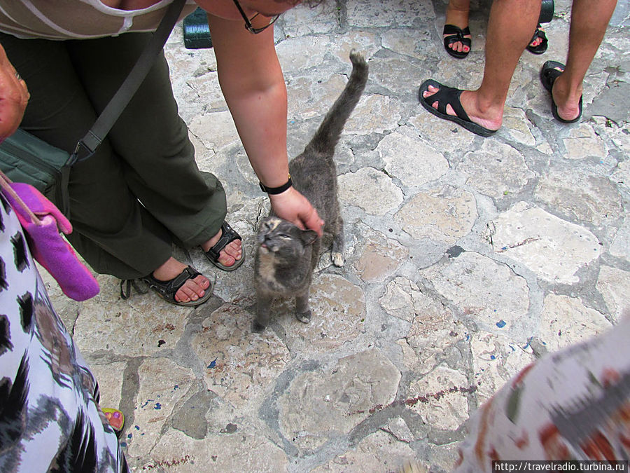 Хорватия. Дубровник Дубровник, Хорватия