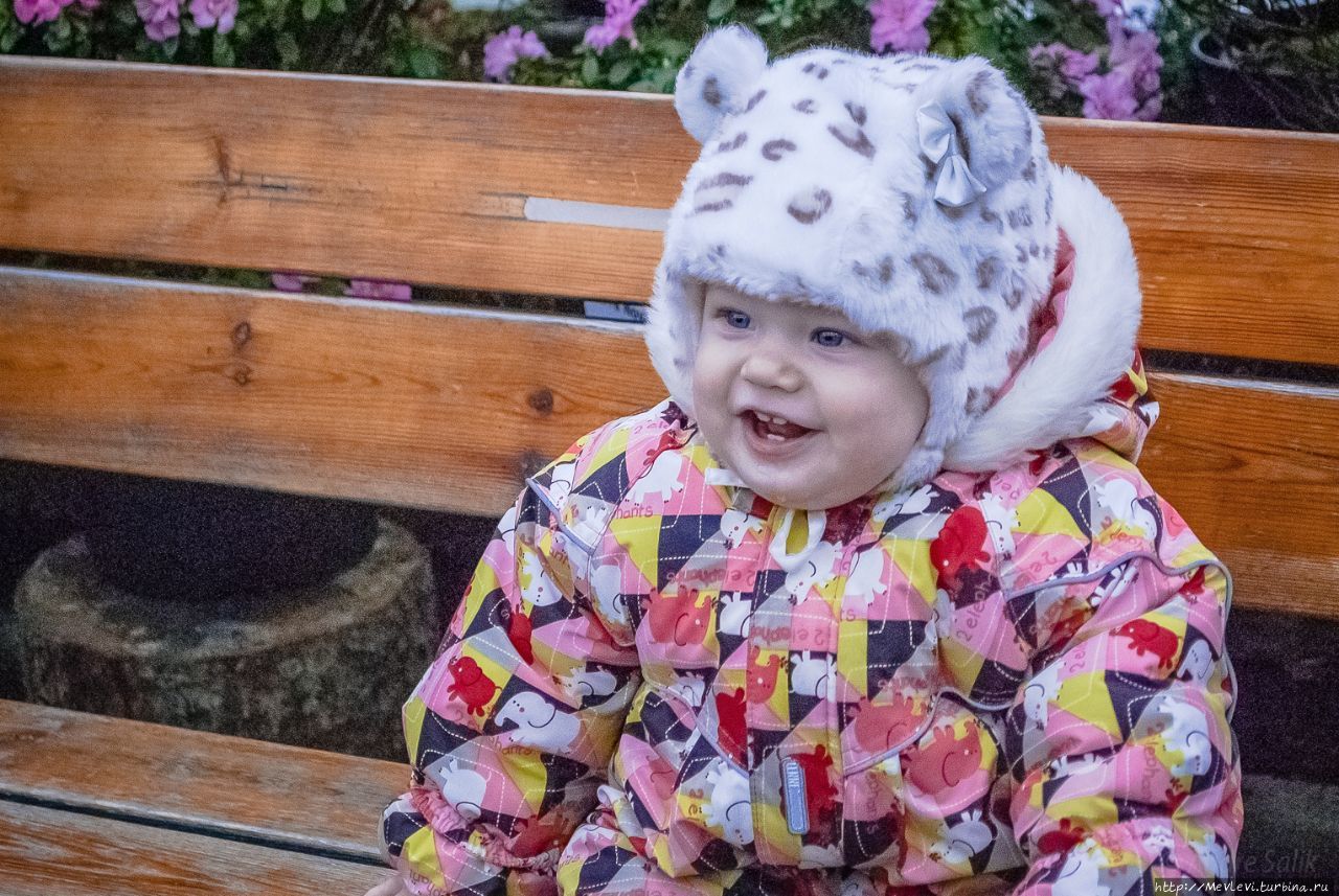 Среди азалий Рига, Латвия