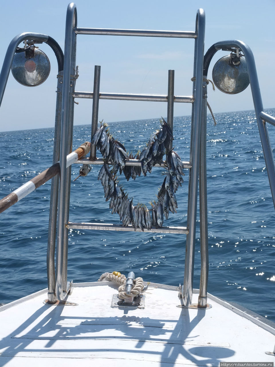 Морская рыбалка в Алуште Алушта, Россия