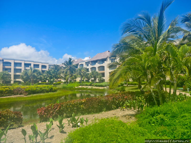 Хард-Рок Отель Пунта-Кана Пунта-Кана, Доминиканская Республика