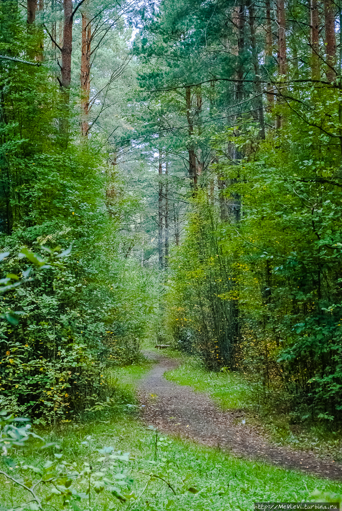 Лиелупе впадает в море. Даугавгривас Рига, Латвия