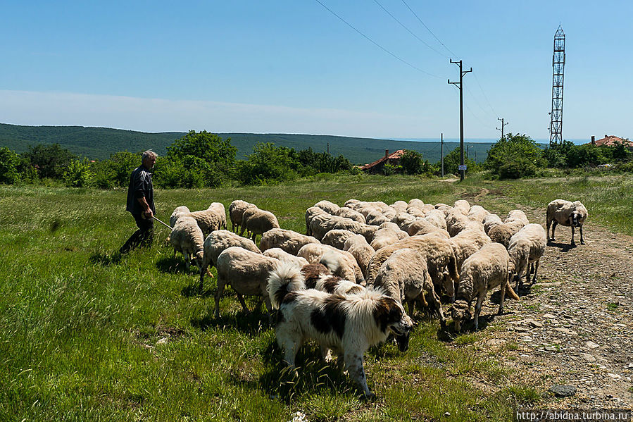 Болгарская пастораль. Горы, деревни, овечки и луга Свети-Влас, Болгария