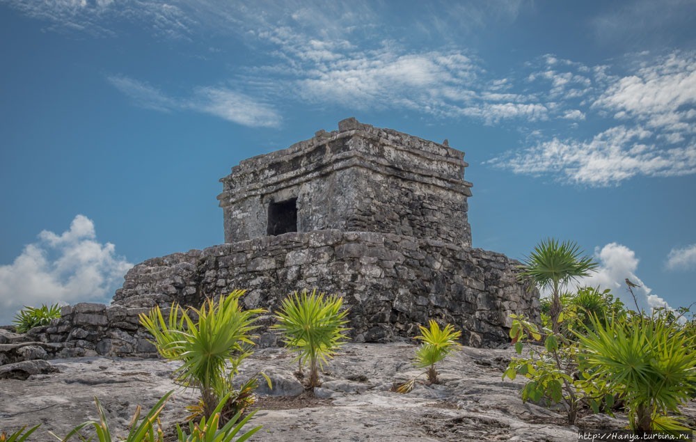 Из интернета Из интернета