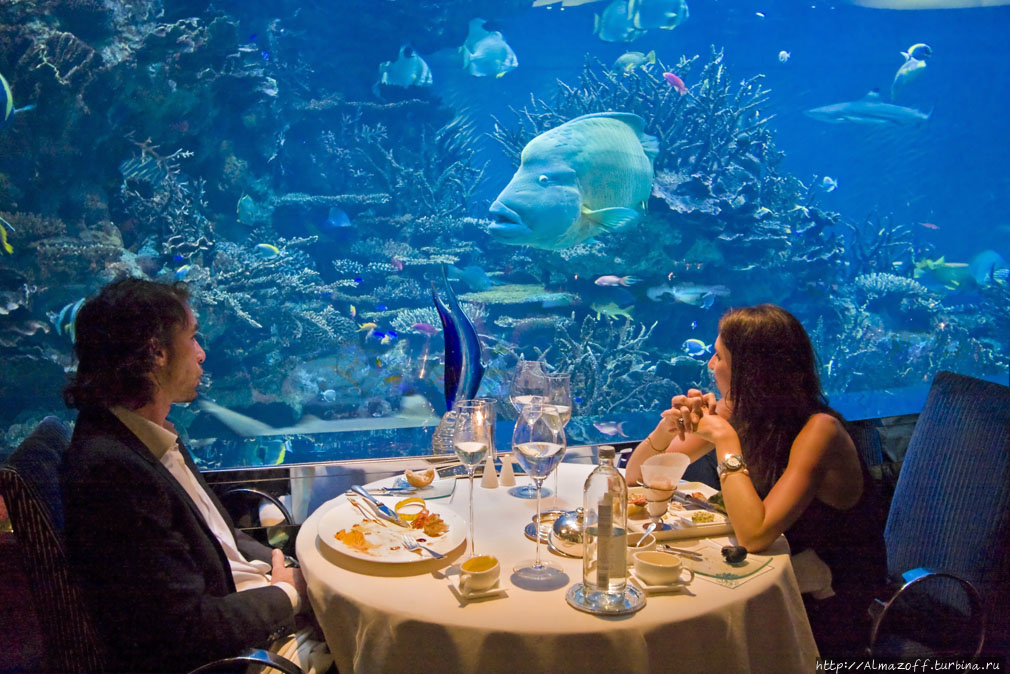 Подводный ресторан «Under