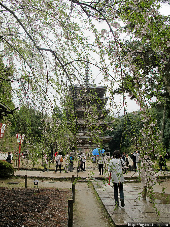 Пятиярусная пагода — самое старое строение в Киото Киото, Япония