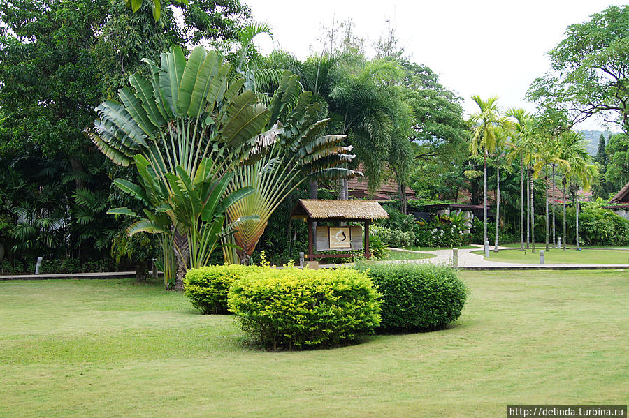 Centara Karon Resort Phuket Карон, Таиланд