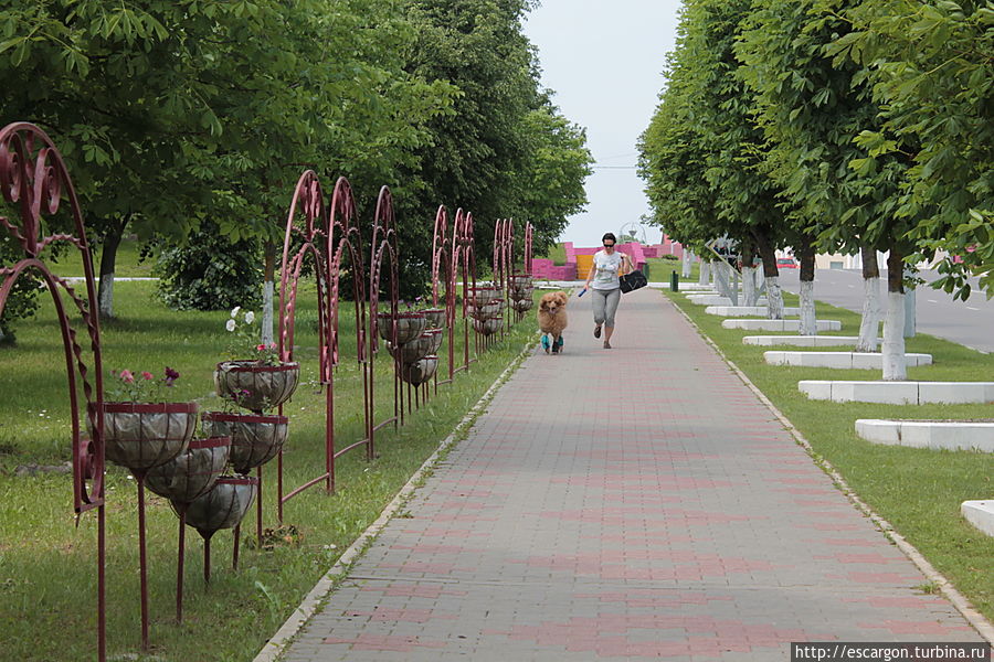 Такая планировочная организация типична для небольших поселений, которые упорядочивались в XIX в. сообразно простейшим геометрическим схемам.