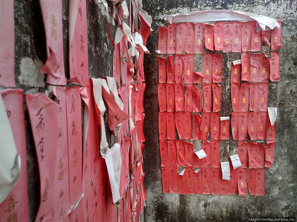 Боги-бомжи, дзен-остановка, растения-захватчики. Провинция Гуандун, Китай