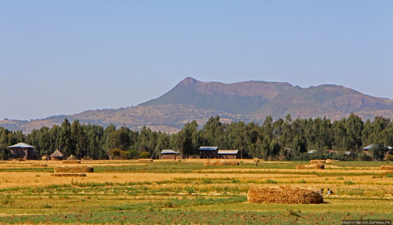 Эфиопские картинки. Центр региона Амхара — житница страны Регион Амхара, Эфиопия
