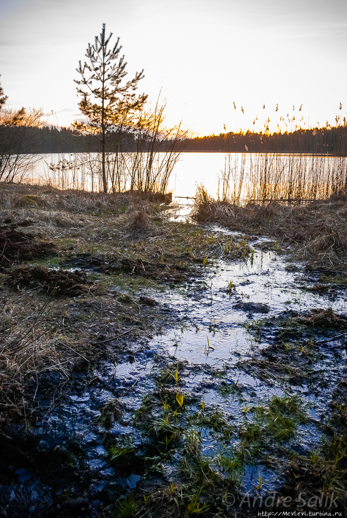 Черное озеро Кемери, Латвия
