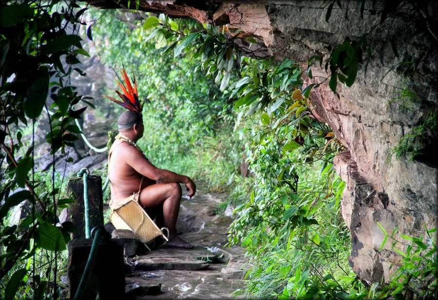 Водное Сальто или прогулка сквозь Сапо Национальный парк Канайма, Венесуэла