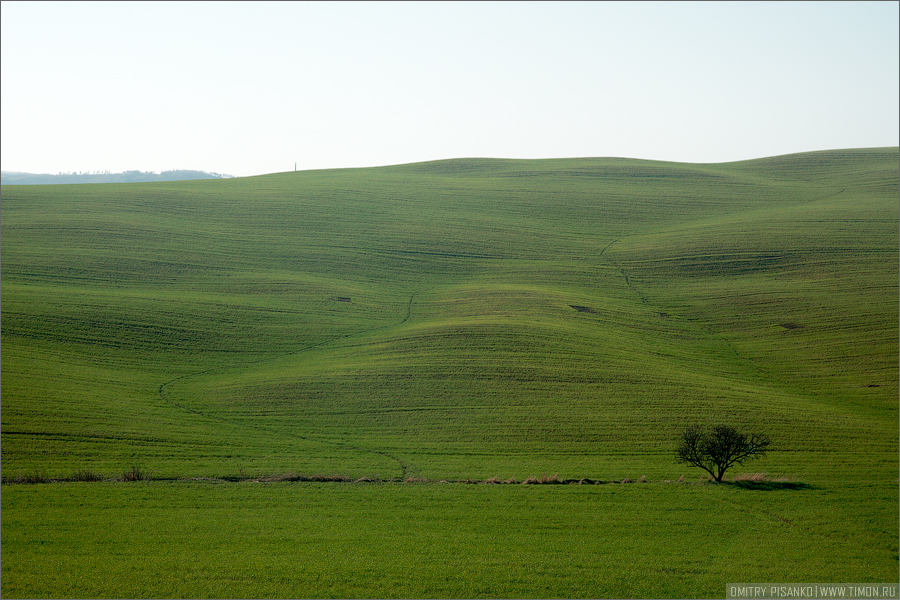Ну и под конец фотография сделанная где-то в дороге.